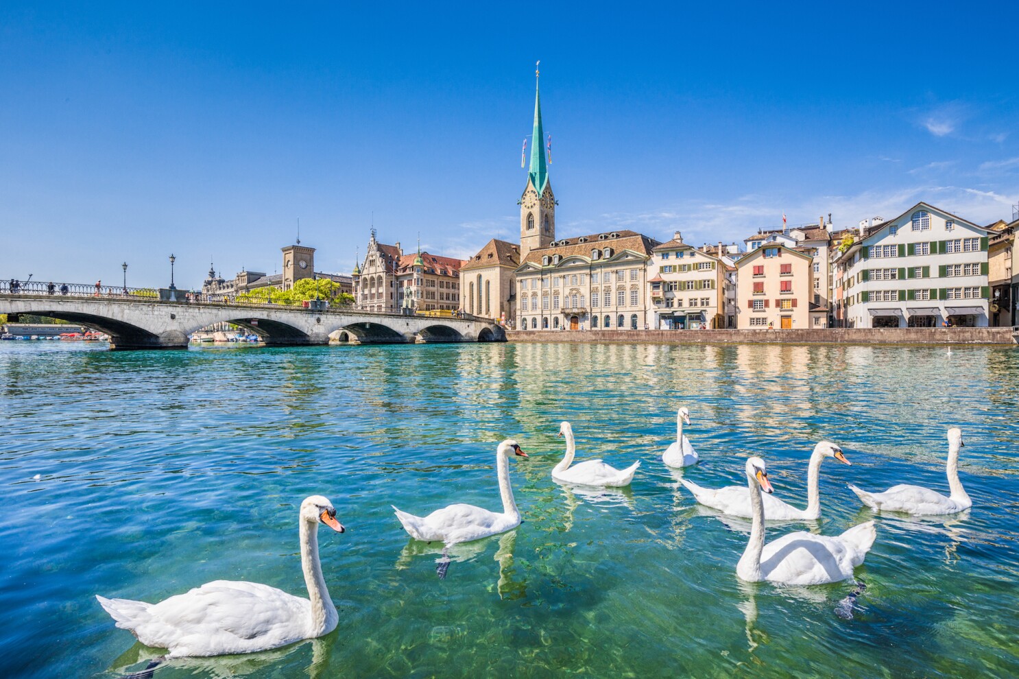 Zurich-thuy-si-Bestbooking