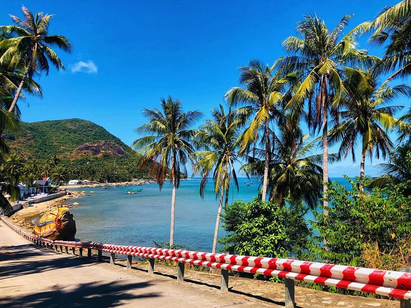 Tour Hòn Sơn 2N1Đ