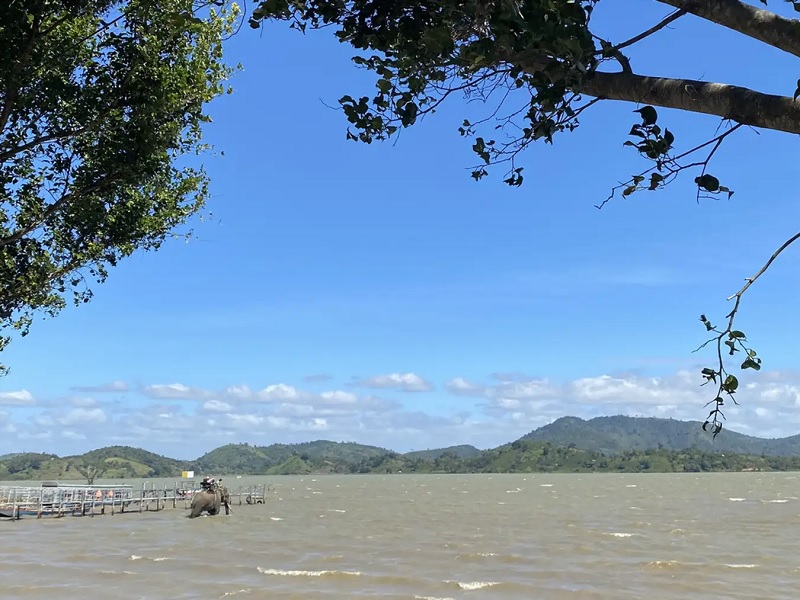 TOUR TÂY NGUYÊN: CITY – HỒ LĂK – THÁC DRAY NUR – BUÔN ĐÔN – KOTAM
