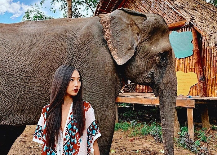 TOUR TÂY NGUYÊN: CITY – HỒ LĂK – THÁC DRAY NUR – BUÔN ĐÔN – KOTAM