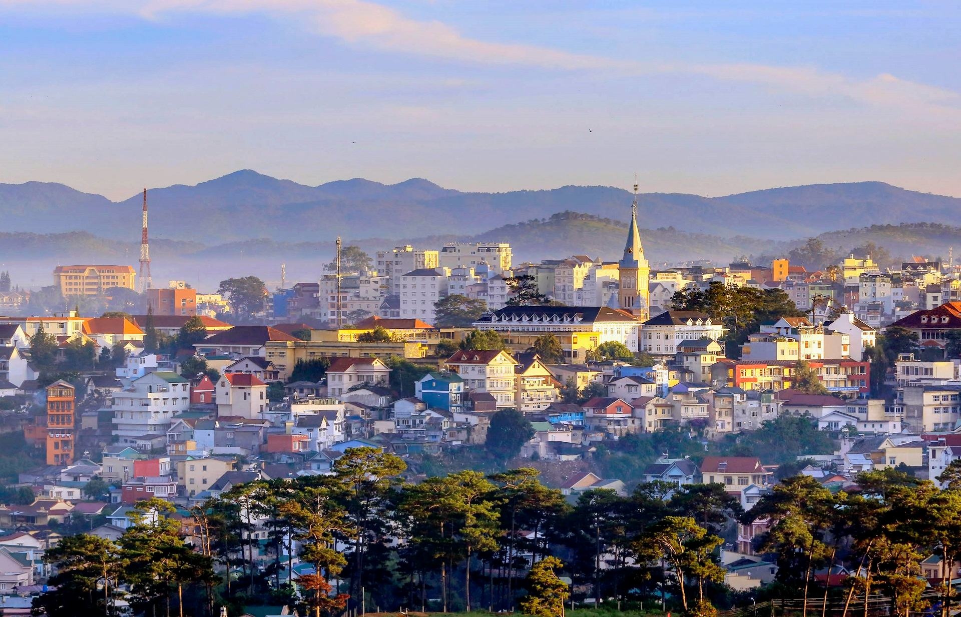 TOUR ĐÀ LẠT 3N2Đ HÀNH TRÌNH KHÁM PHÁ THÀNH PHỐ NGÀN HOA TỪ THÀNH PHỐ HỒ CHÍ MINH